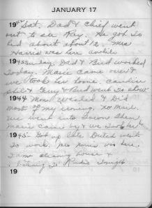 Diary Jan 17